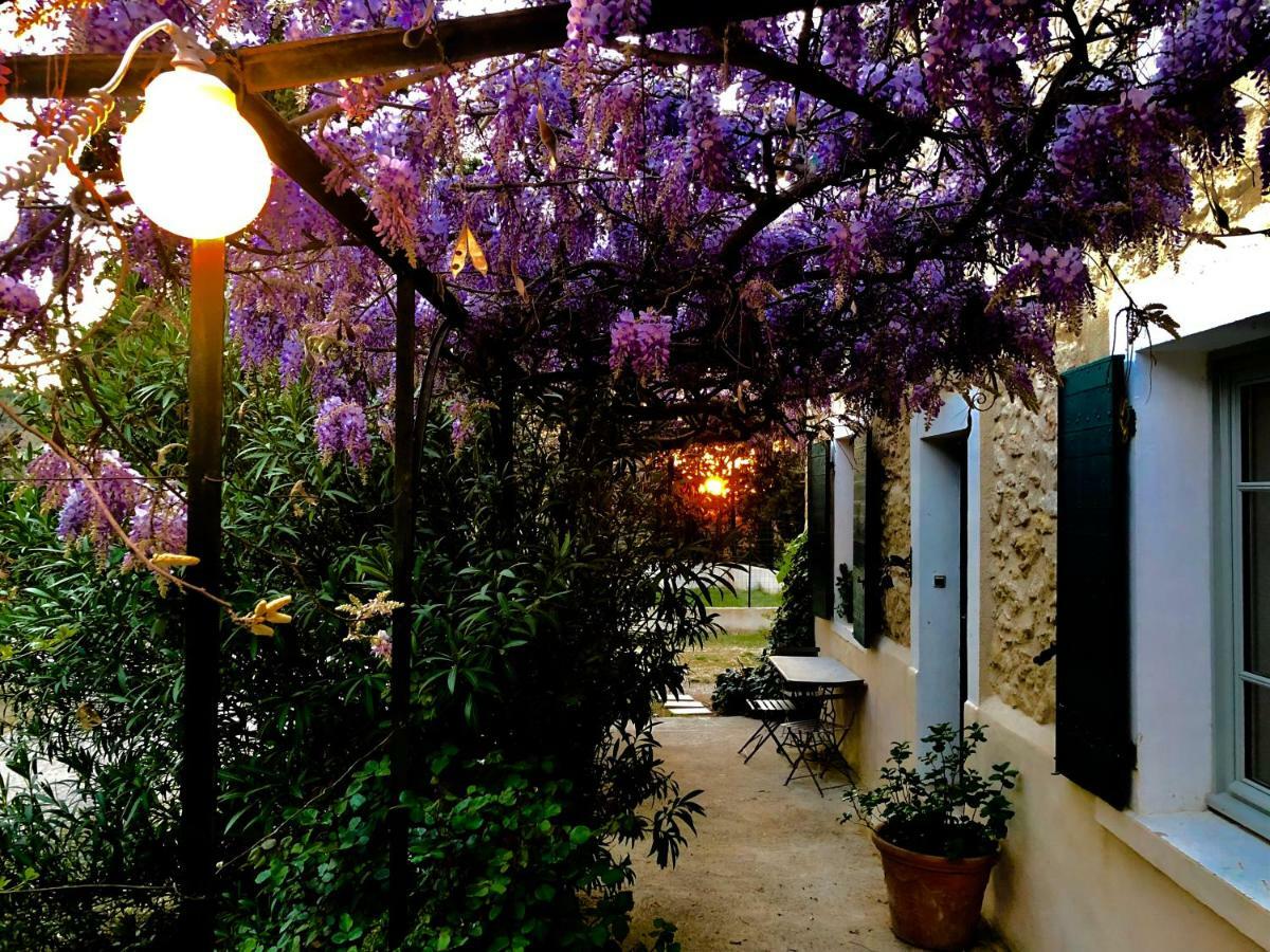 Bed and Breakfast Campagne Paumier à Ansouis Extérieur photo